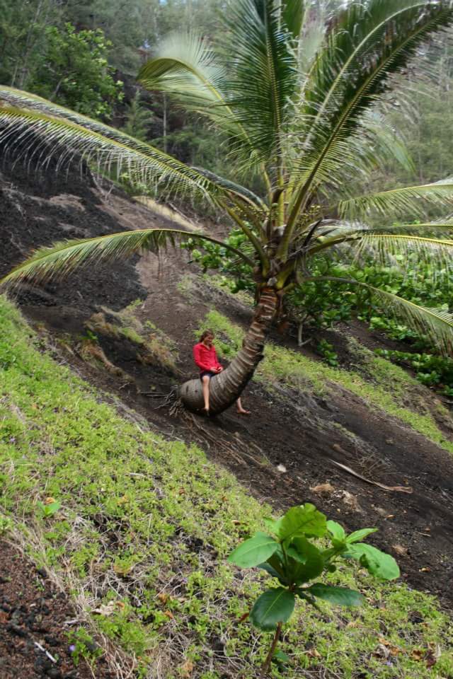 FB_IMG_1515193971210